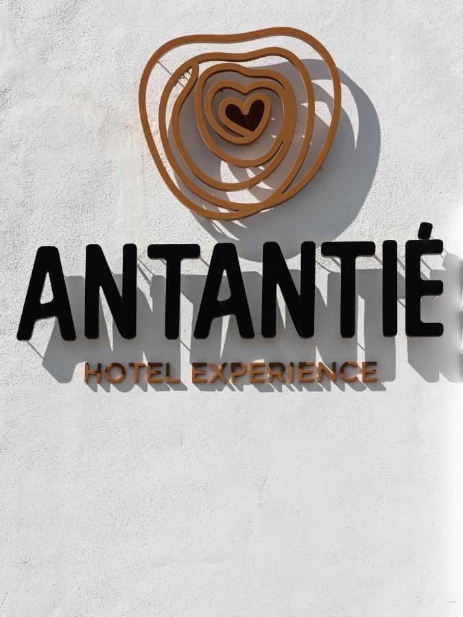 كونيل ذي لا فرونتيرا Hotel Antantie المظهر الخارجي الصورة